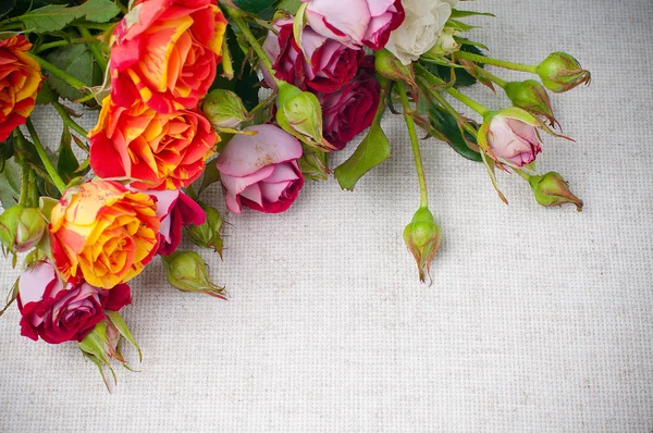 在亚麻织物上的五彩的玫瑰 — 图库照片