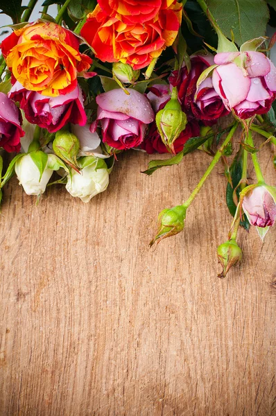 Rosas multicoloridas em uma tábua de madeira — Fotografia de Stock