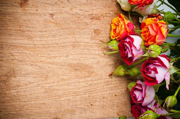 Rosas multicoloridas em uma tábua de madeira — Fotografia de Stock
