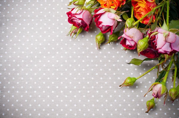 Bunte Rosen auf grauem Leinenstoff — Stockfoto