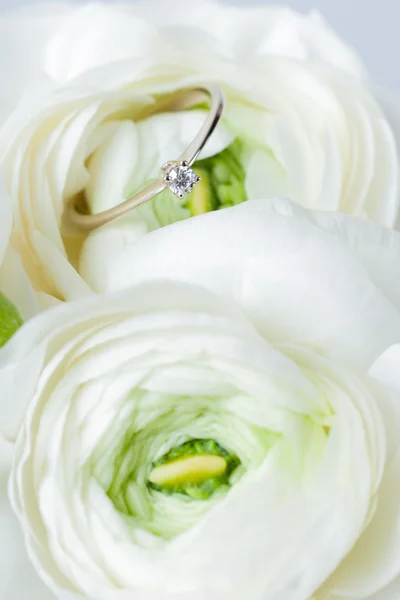 Golden engagement ring in flower — Stock Photo, Image