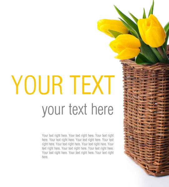 Floral background with yellow tulips — Stock Photo, Image