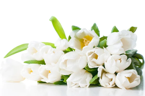 Grande bouquet di tulipani bianchi bagnati — Foto Stock