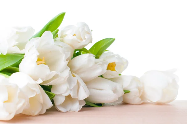 Velkou kytici bílých tulipánů — Stock fotografie