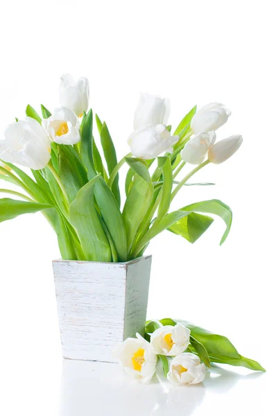 Witte tulpen in een houten planter — Stockfoto