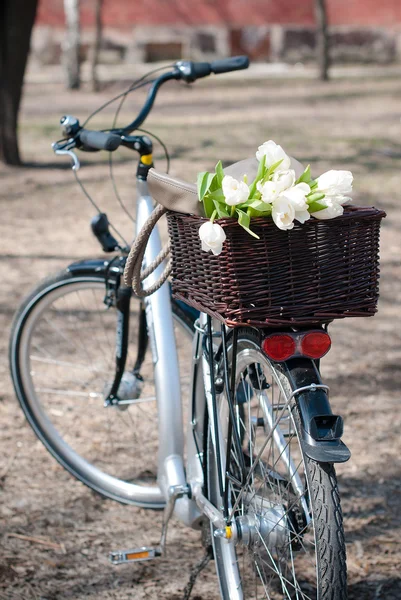 Rower z kosz pełen tulipanów — Zdjęcie stockowe