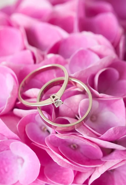 Pair of wedding rings on flowers — Stock Photo, Image