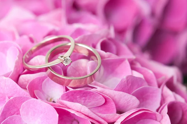 Pair of wedding rings on flowers — Stock Photo, Image