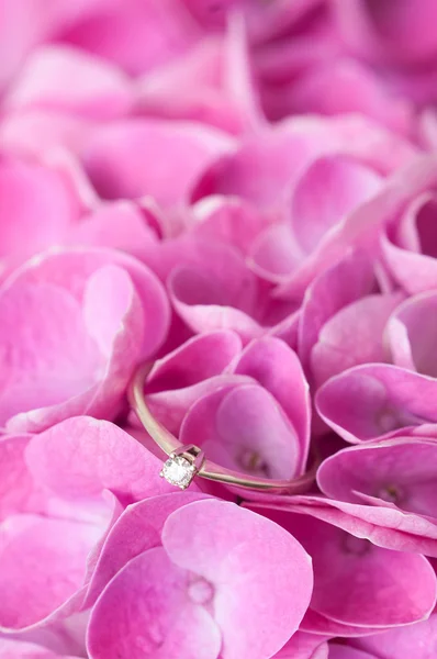 Engagement ring on flowers — Stock Photo, Image