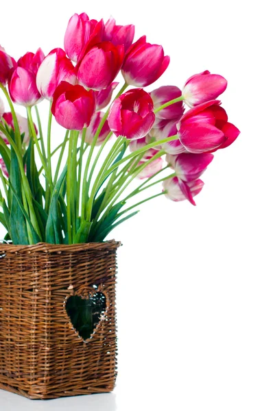 Světlé růžové tulipány do proutěného koše — Stock fotografie