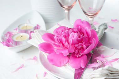 pembe peonies Festival Tablo ayarı