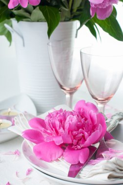 pembe peonies Festival Tablo ayarı