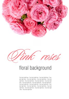 çiçek arka izole pembe Güllü