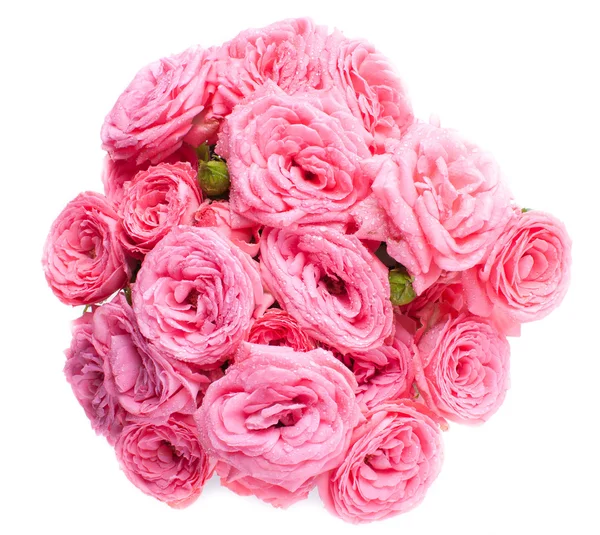 Bouquet of bright pink roses isolated — Stock Photo, Image