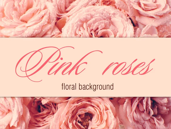 Fondo de flores con rosas rosadas — Foto de Stock