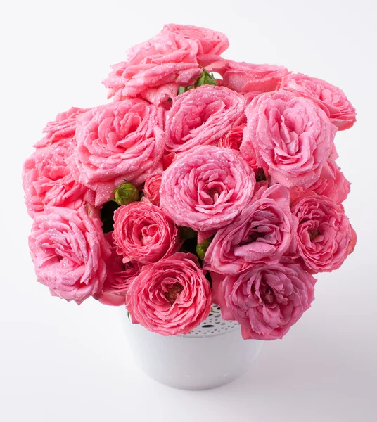 Bouquet of bright pink roses isolated — Stock Photo, Image