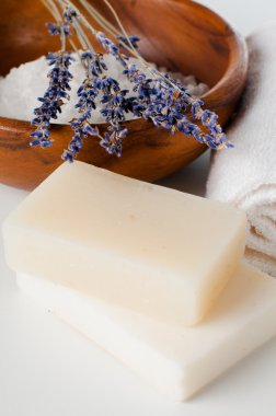 Banyosu, spa, sağlık ve hijyen ürünleri