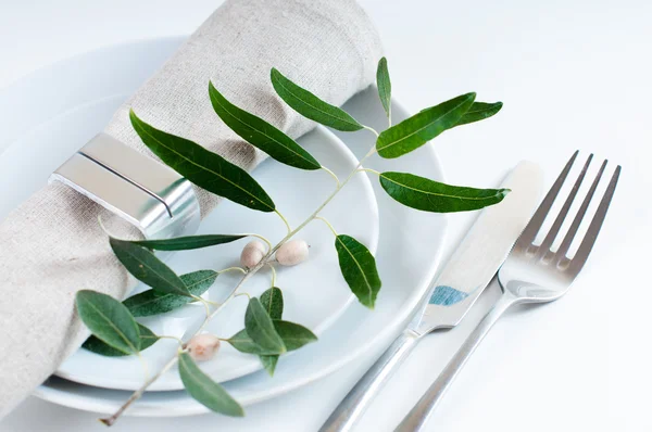 Table setting with branches and berries — Stock Photo, Image