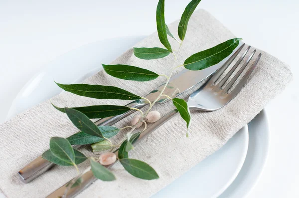 Décor de table avec branches et baies — Photo