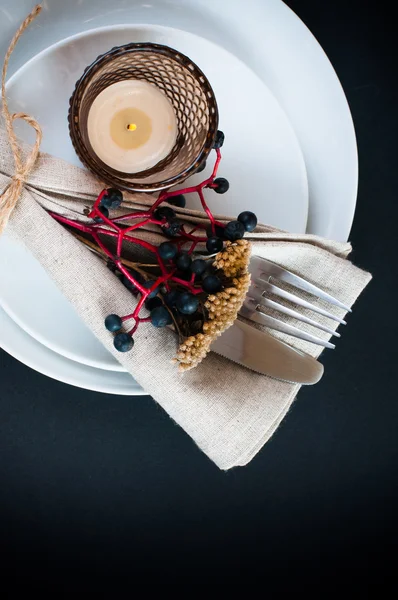 Table setting with wild grapes — Stock Photo, Image