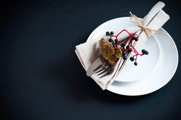 Setarea mesei cu struguri sălbatici — Fotografie, imagine de stoc