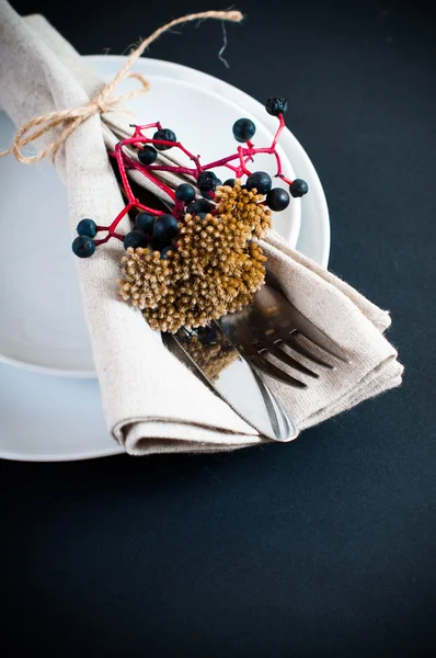 Table setting with wild grapes — Stock Photo, Image