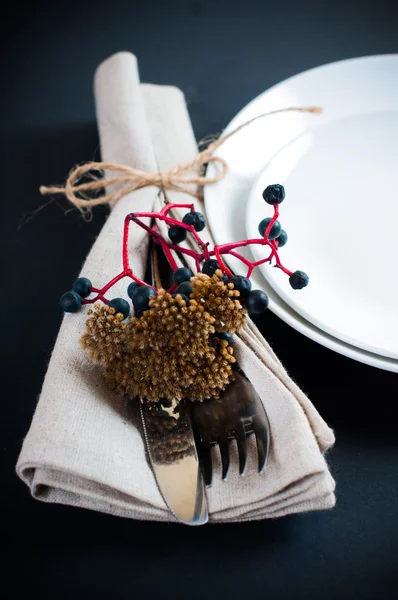 Table setting with wild grapes — Stock Photo, Image