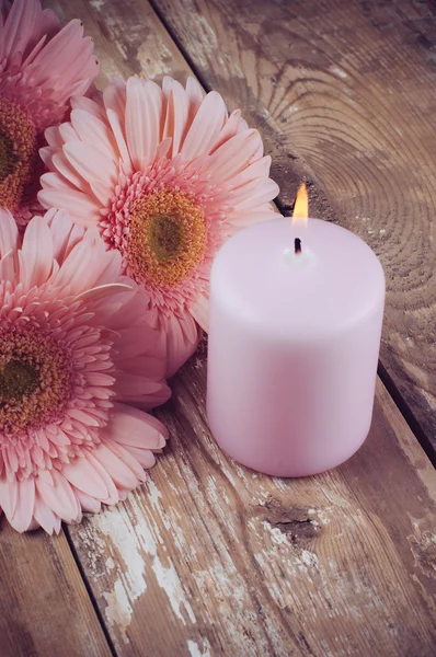 Gerberas rosa e uma vela — Fotografia de Stock