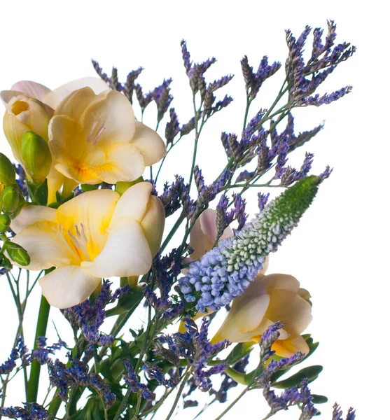 Sárga és lila virágcsokor — Stock Fotó