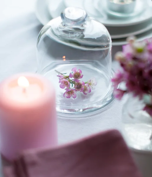 Flowers in a glass bell jar — Stock Photo, Image