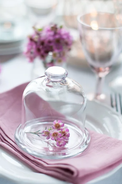Flowers in a glass bell jar — Stock Photo, Image