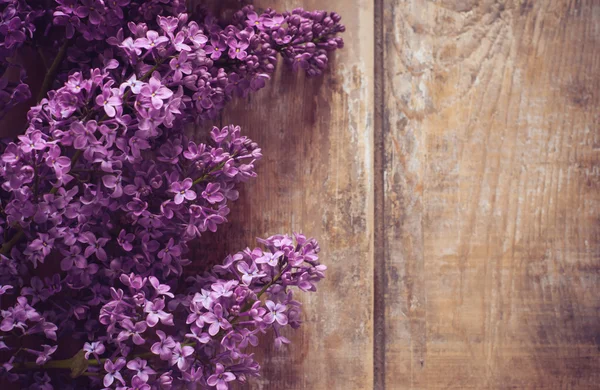 Lila bloemen achtergrond — Stockfoto