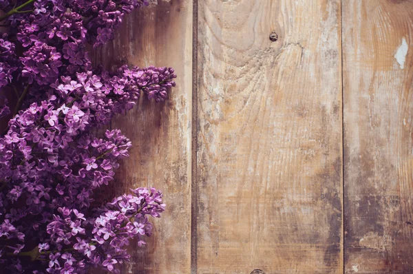 Lilac květiny pozadí — Stock fotografie