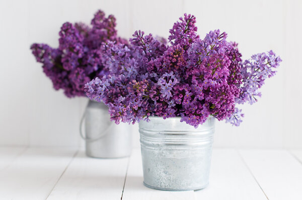 Two bouquet of lilac flowers 