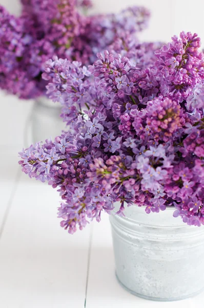 Twee boeket van lila bloemen — Stockfoto