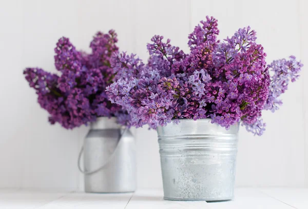 Zwei Strauß fliederfarbener Blumen — Stockfoto