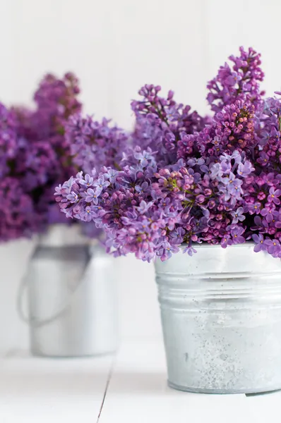 Two bouquet of lilac flowers — Stock Photo, Image