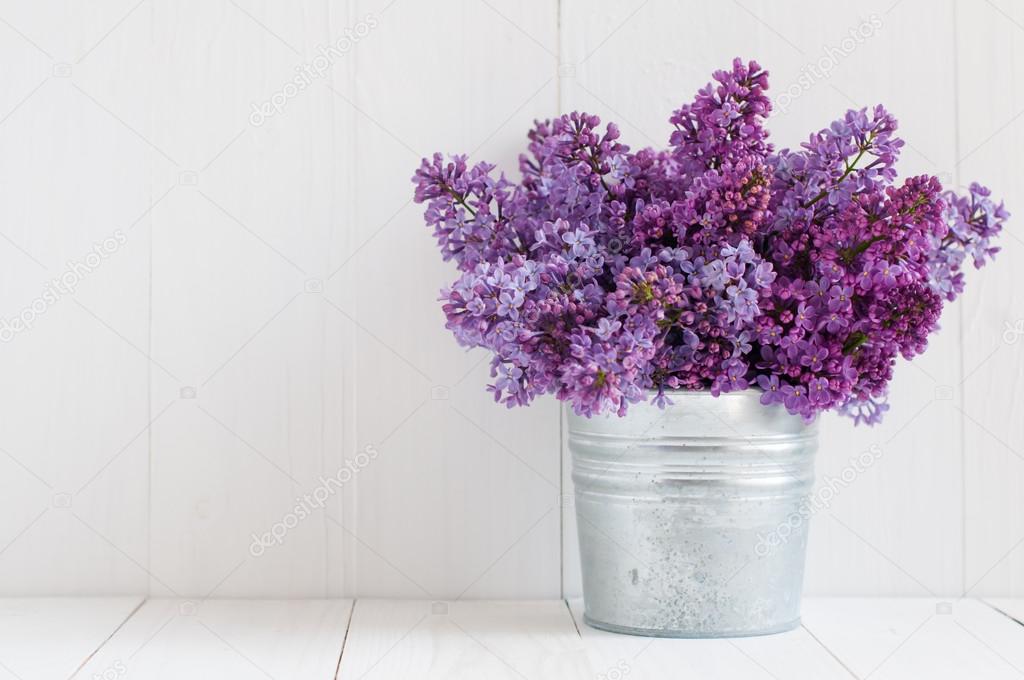  flowers of lilac
