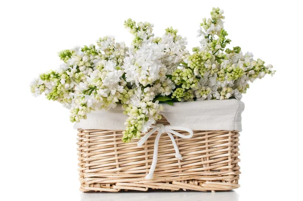 Flores lilás brancos dentro de um cesto isolado — Zdjęcie stockowe