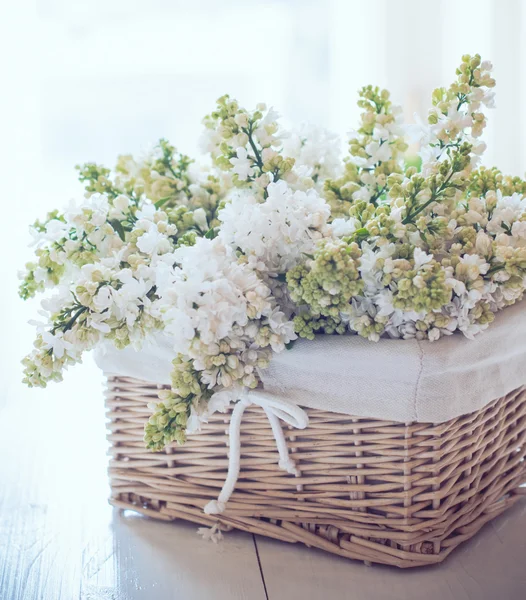 White lilac flowers in a wicker basket Royalty Free Stock Images