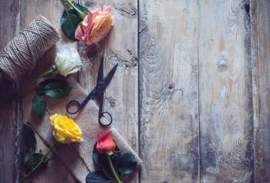 Vintage bitki arka plan