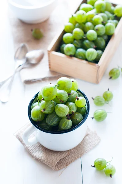 Fresh ripe green gooseberry — Stock Photo, Image