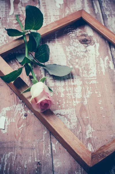 Rosas rosa e uma armação de madeira — Fotografia de Stock