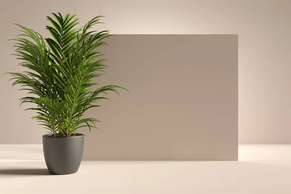 Fundo Bege Abstrato Com Folhas Palmeira Espaço Cópia Design Renderização — Fotografia de Stock