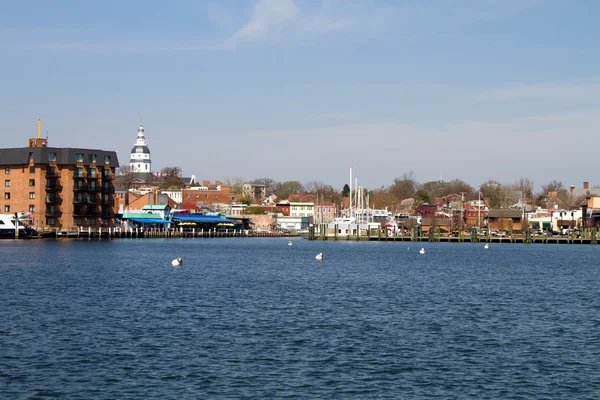 Panorama města Annapolis — Stock fotografie