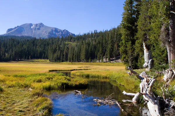 Ruisseau de montagne Lassen — Photo