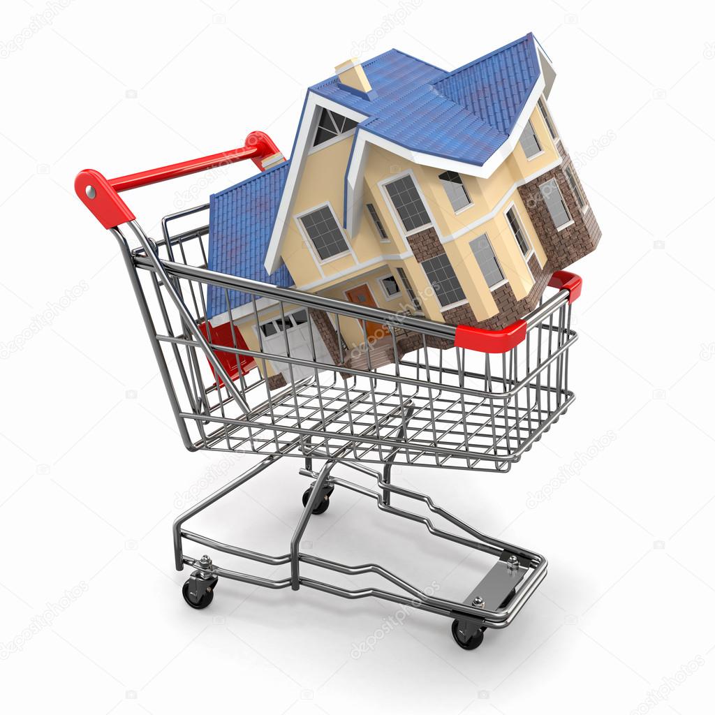 Property market. House in shopping cart