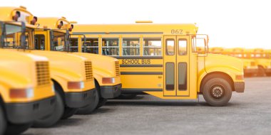 Yellow school buses in a row. 3d illustration