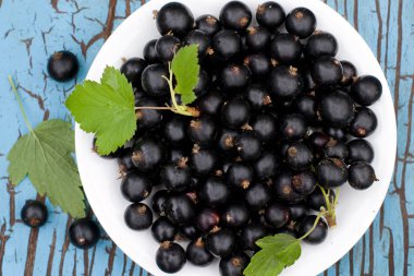 Siyah frenk üzümü