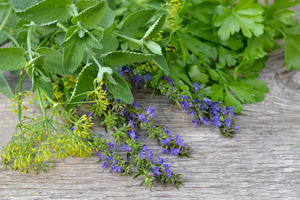 Čerstvé aromatické byliny — Stock fotografie